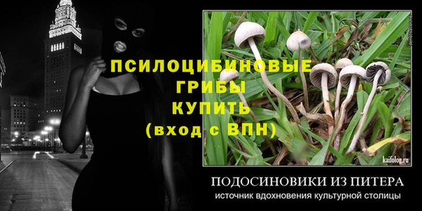 spice Пересвет